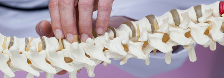 Nepean Chiropractic Clinic Talks About Bulging Discs in Nepean ON